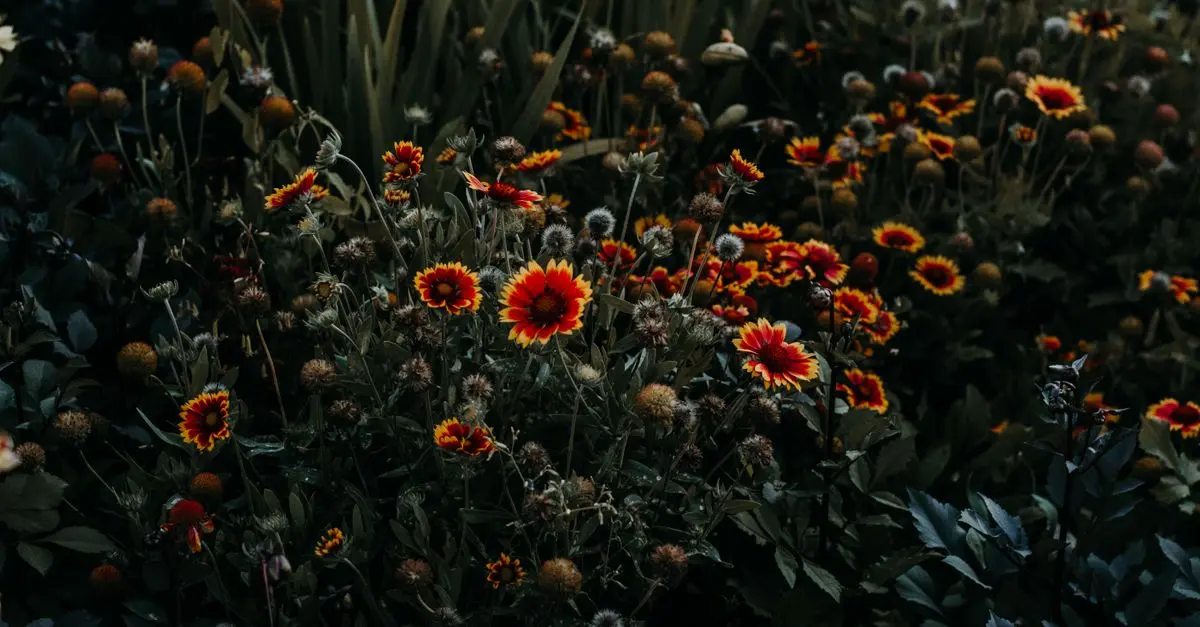 Cómo cultivar plantas nativas para un jardín sostenible