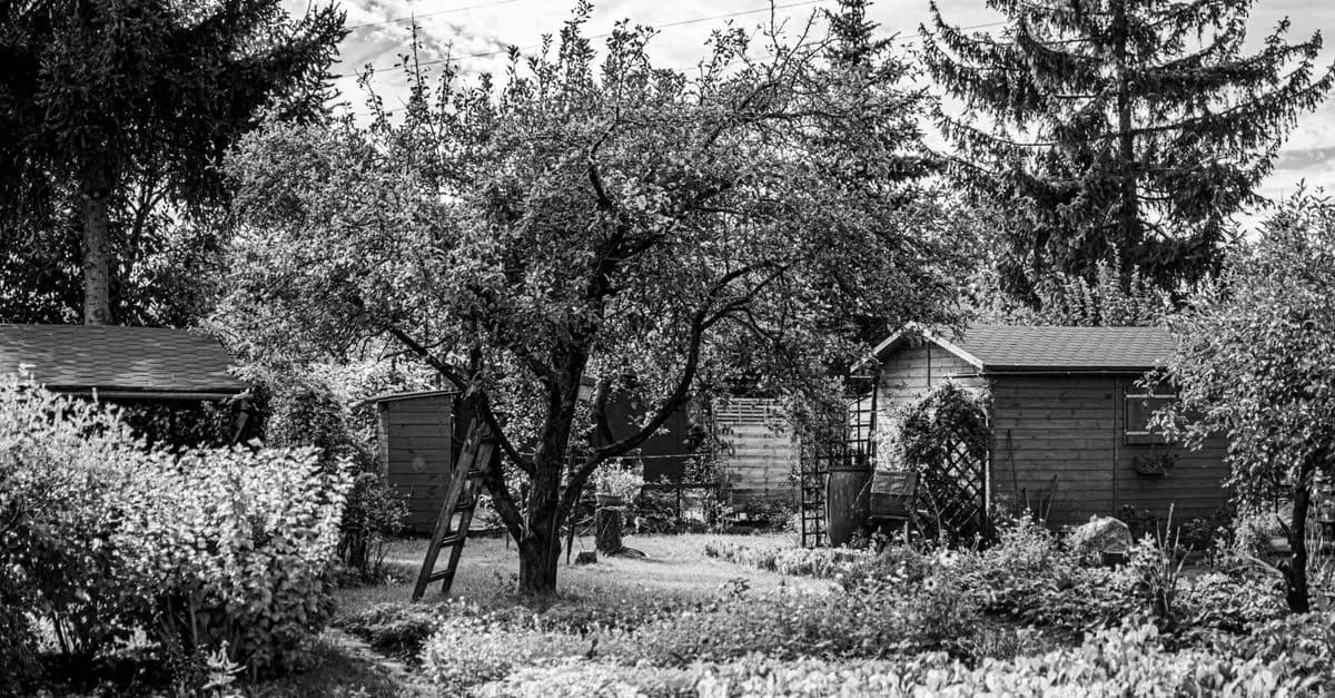 Cómo elegir las mejores herramientas de jardinería para tu jardín