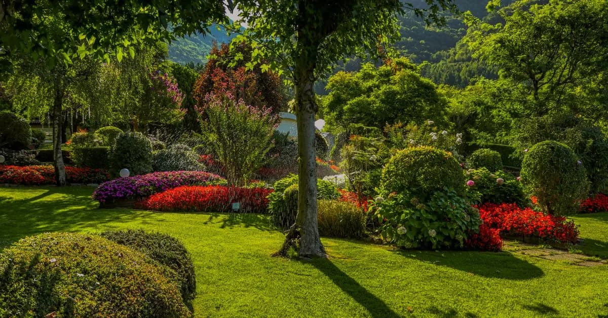 Cómo crear un jardín sostenible: pasos y consejos clave