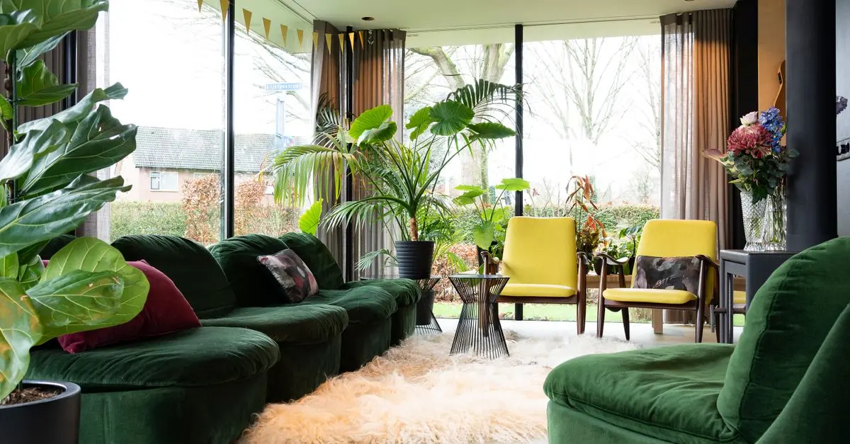 Cómo cuidar plantas de interior en invierno: consejos fundamentales