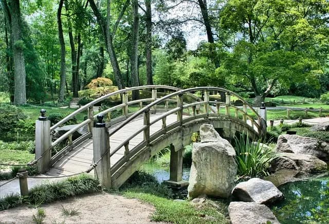 Cómo crear un jardín aromático: pasos y beneficios