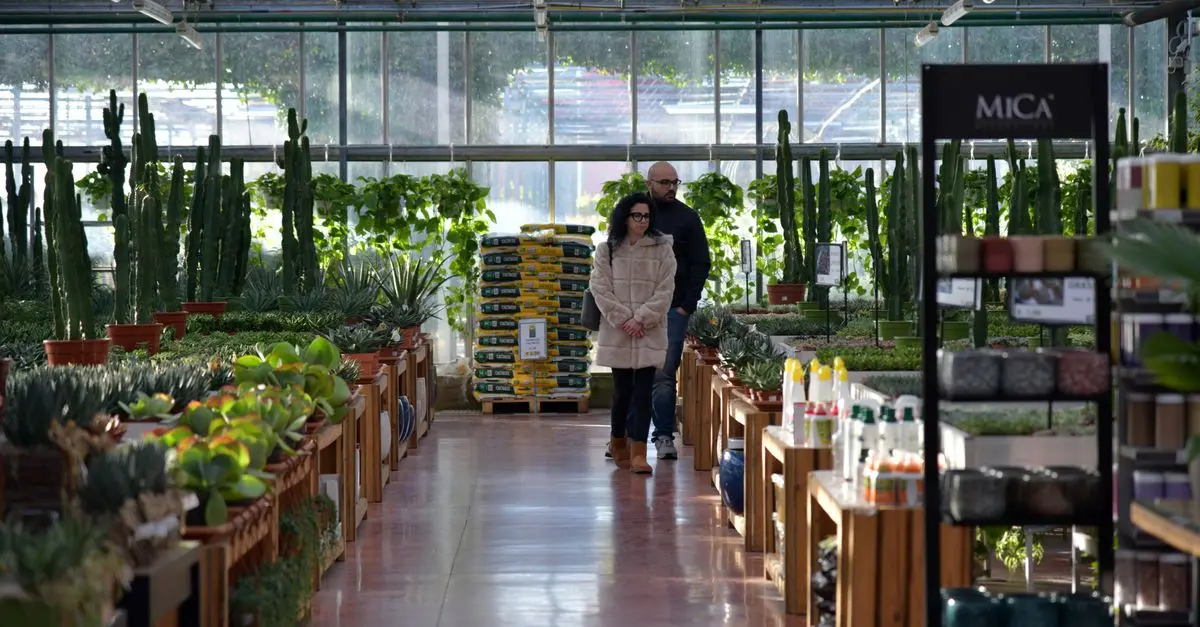 Amplia tus conocimientos sobre plantas trepadoras