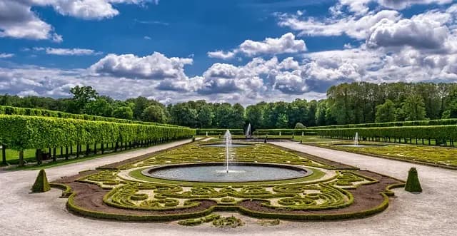 Cómo cultivar flores silvestres en tu jardín: guía paso a paso