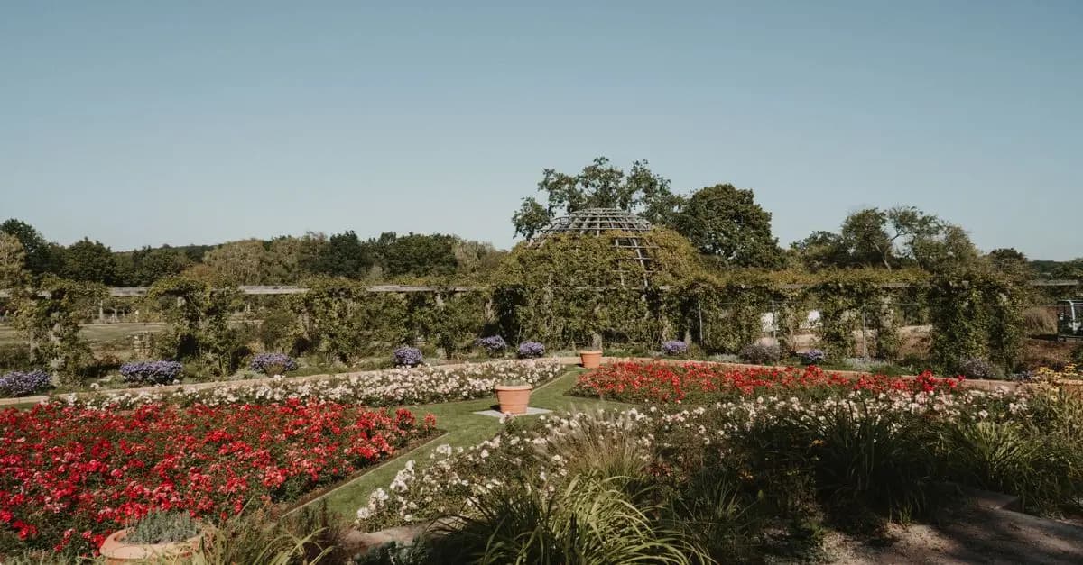10 consejos para cultivar flores silvestres en tu jardín