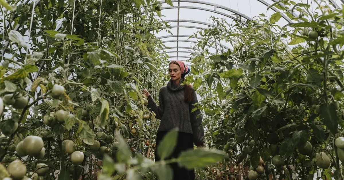 Cómo cuidar tus plantas durante el invierno: consejos esenciales