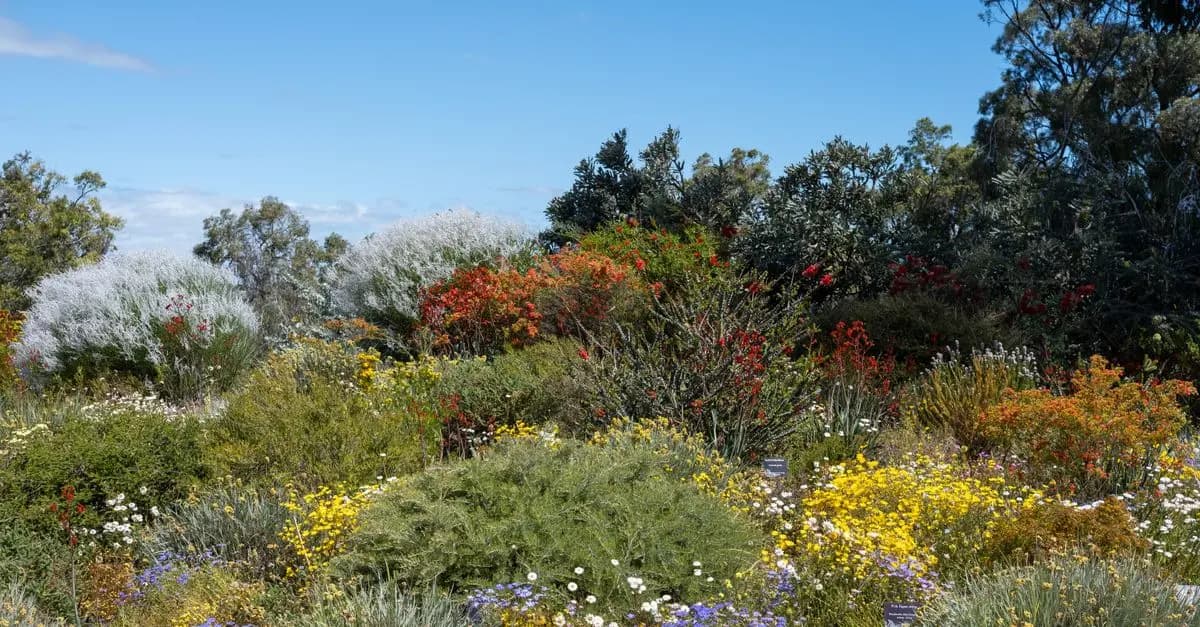 Cómo cultivar flores silvestres en tu jardín: guía práctica