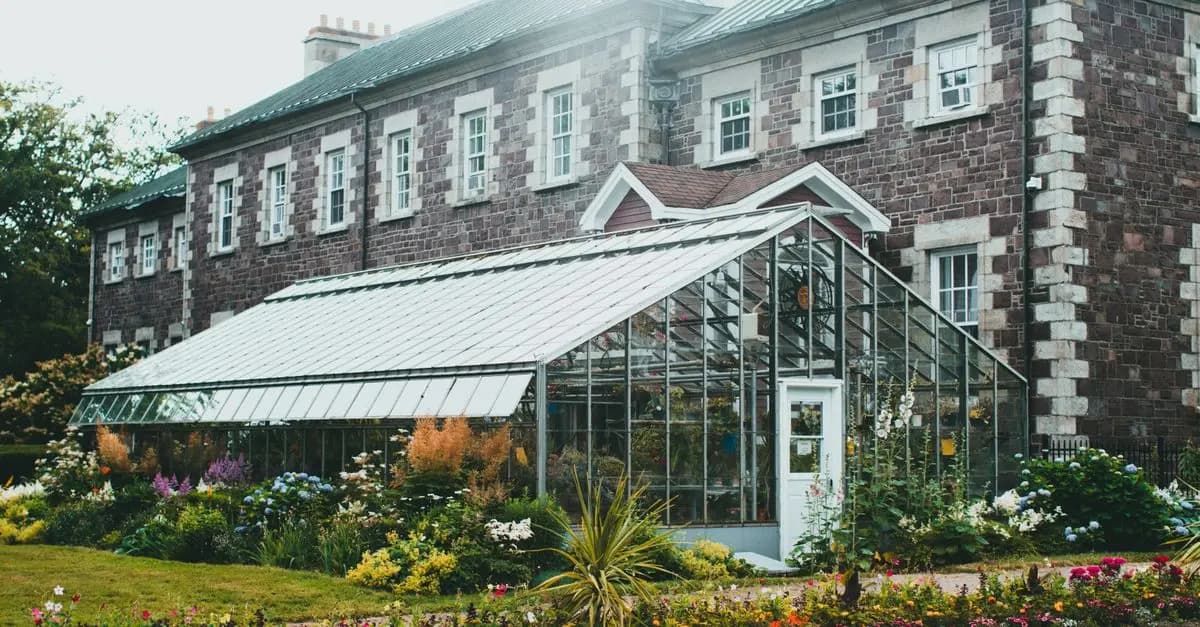 Cómo elegir las plantas adecuadas para tu jardín