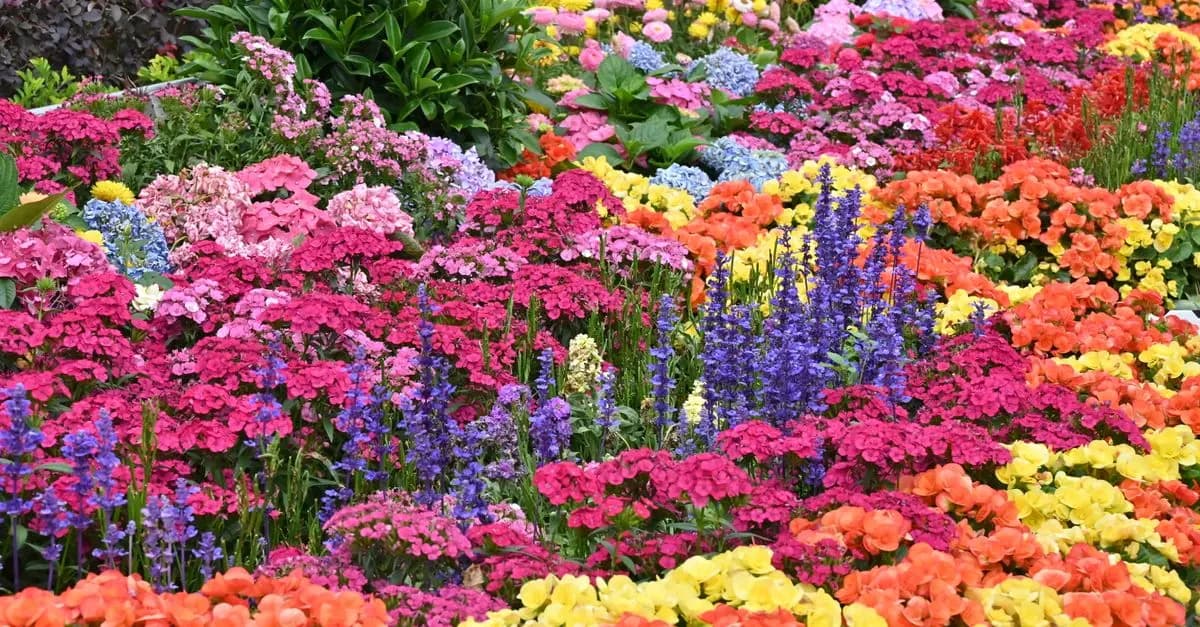 Las mejores prácticas para cultivar flores durante todo el año