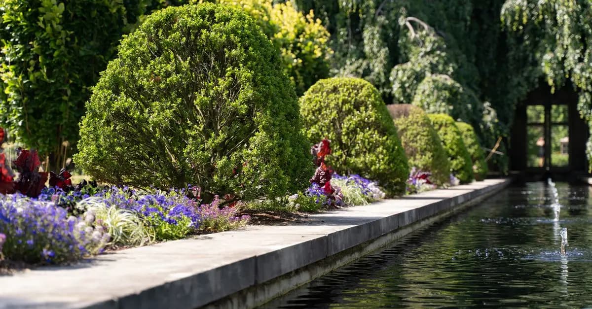 Tendencias en jardines sostenibles para 2026