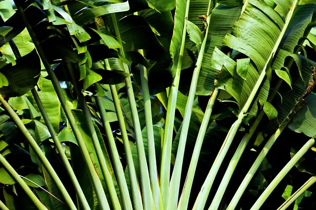 Cómo crear un jardín vertical en casa: guía práctica