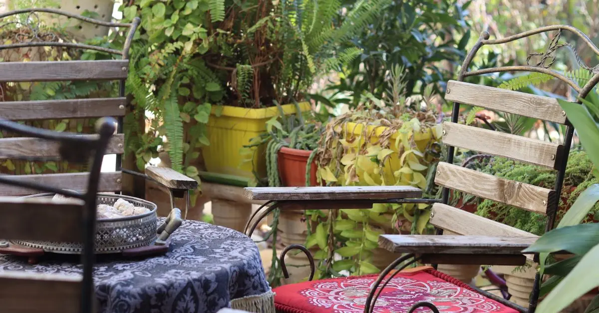 Cómo elegir las plantas adecuadas para un jardín sustentable