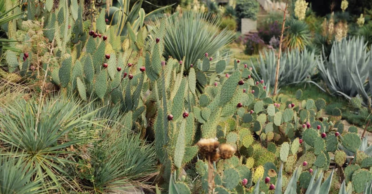 Cómo crear un jardín sostenible: pasos y consejos clave