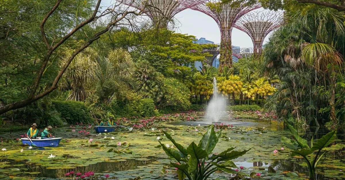 La importancia del mulch en jardinería