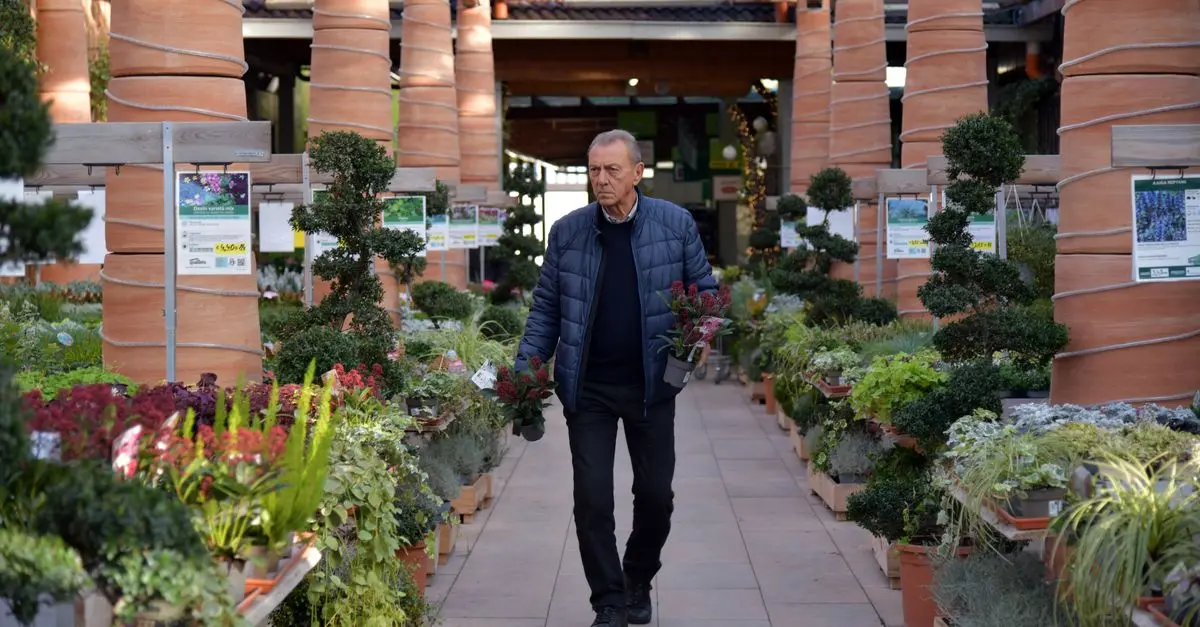 ¿Qué vegetales plantar en otoño?