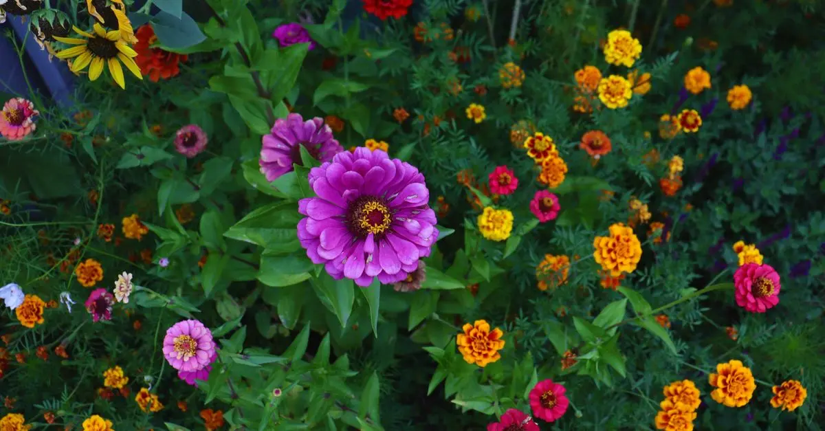Cómo elegir las plantas ideales para un jardín vibrante