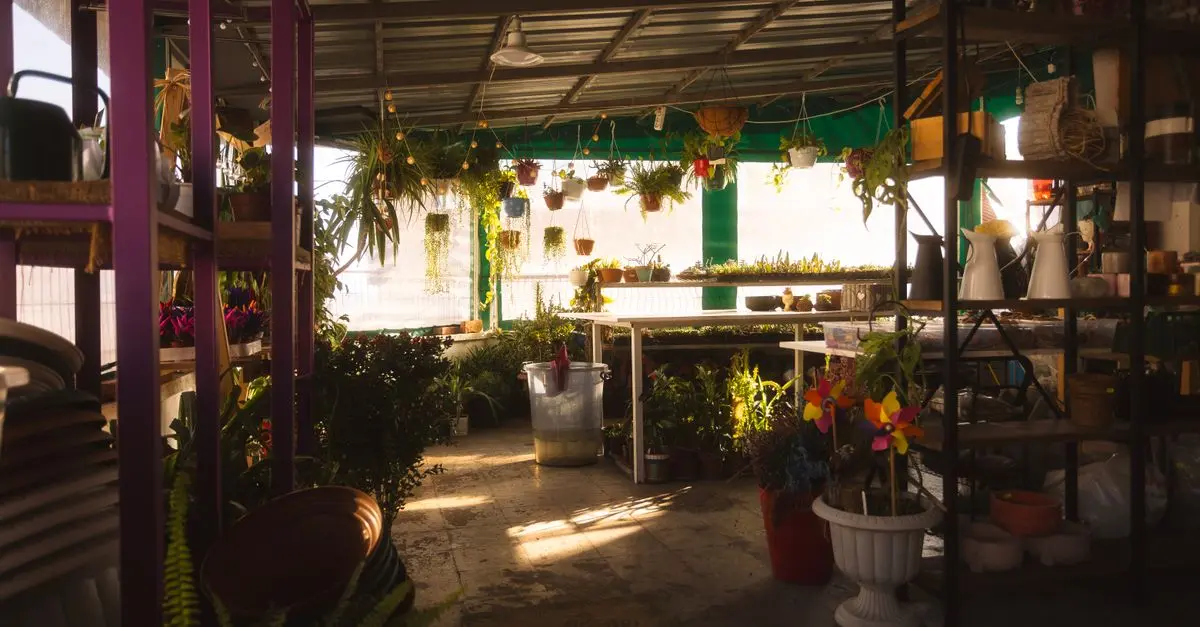 Cómo crear un jardín de flores perennes: guía práctica
