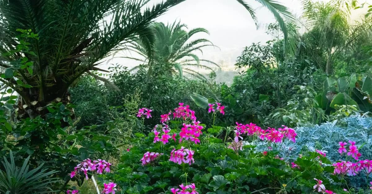 10 Plantas Resilientes para Tu Jardín en Climas Cálidos