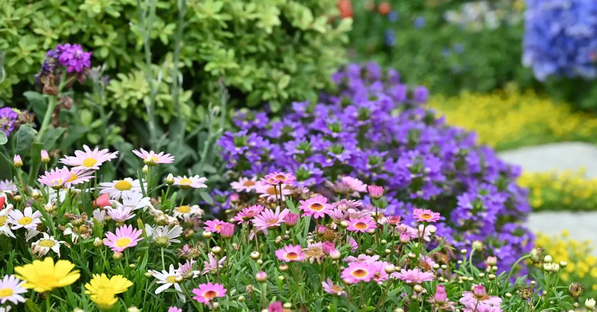 Beneficios y cuidados de las plantas perennes en el jardín