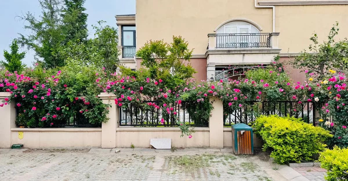 Cómo seleccionar las mejores plantas para tu jardín