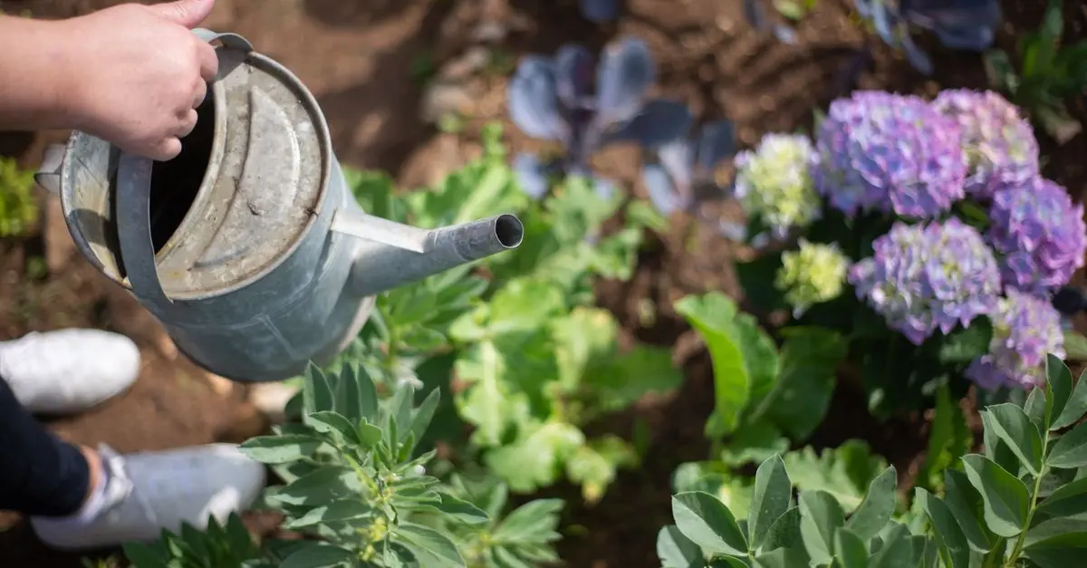 ¿Cómo hacer un jardín sustentable? Pasos y consejos clave