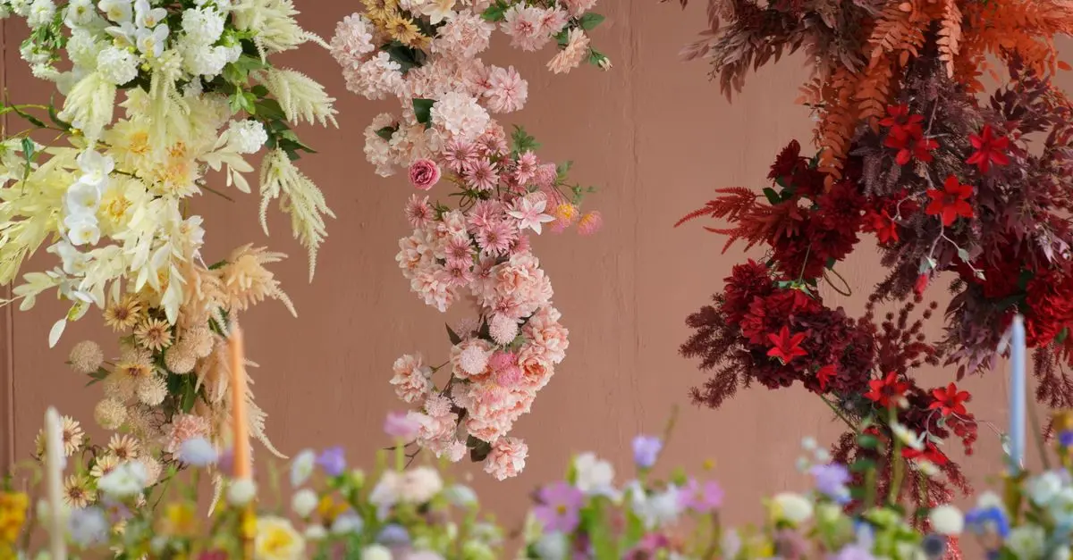 Top 7 plantas para principiantes