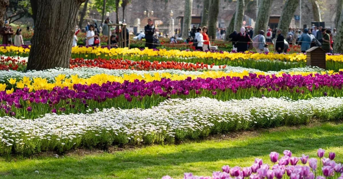Cómo seleccionar las flores adecuadas para tu jardín